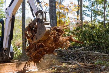 The Importance Of Land Clearing For Site Preparation Durability